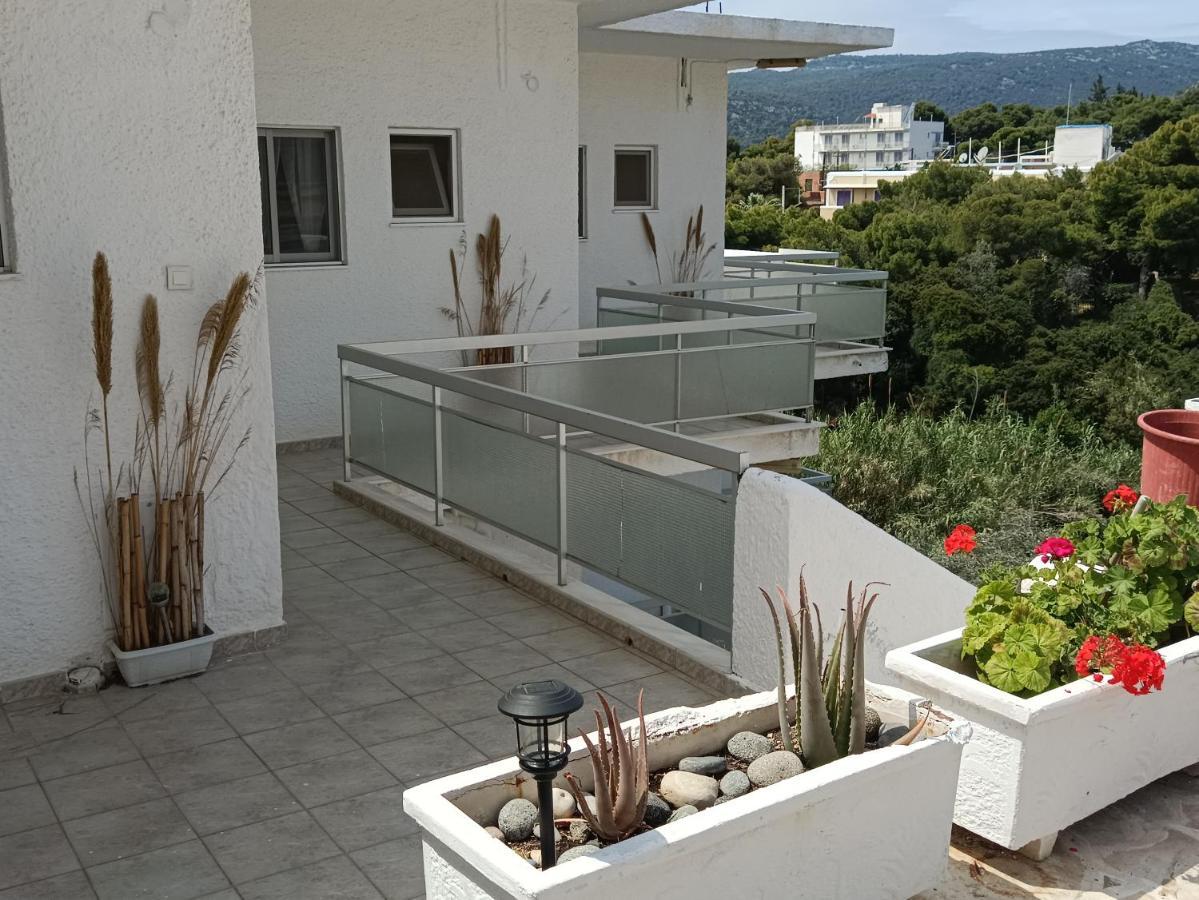 Meltemi Apartments Agia Marina  Eksteriør billede